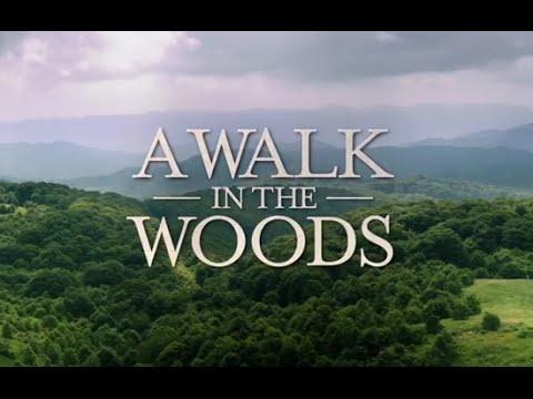 A Walk in the Woods