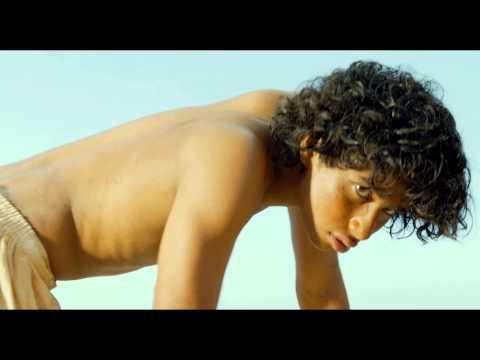 Life of Pi