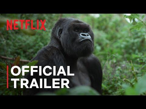 A Gorilla Story: Told by David Attenborough